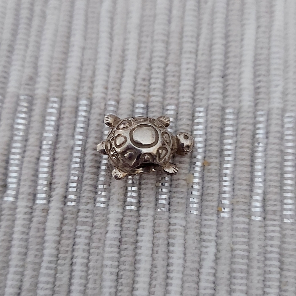 Pandora Charms - THESE 2 CHARMS HAVE BEEN SOLD